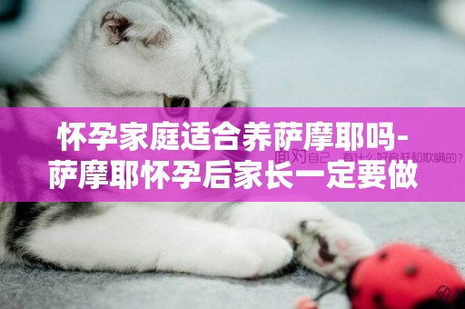 懷孕家庭適合養薩摩耶嗎-薩摩耶懷孕后家長一定要做好以下幾點才能照顧好它