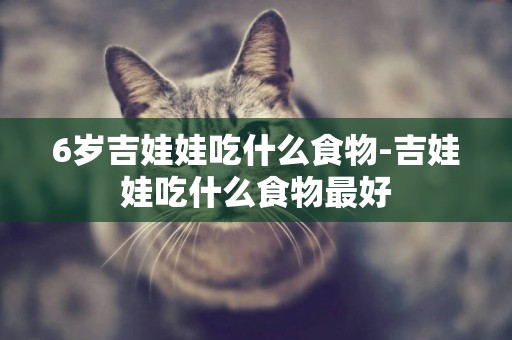 6歲吉娃娃吃什么食物-吉娃娃吃什么食物最好