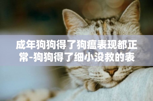 成年狗狗得了狗瘟表現都正常-狗狗得了細小沒救的表現