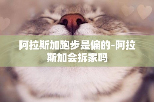 阿拉斯加跑步是偏的-阿拉斯加會拆家嗎