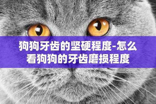 狗狗牙齒的堅硬程度-怎么看狗狗的牙齒磨損程度