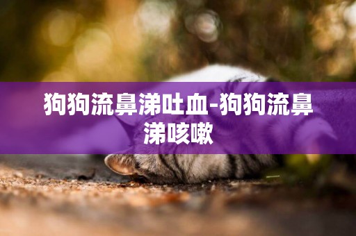 狗狗流鼻涕吐血-狗狗流鼻涕咳嗽