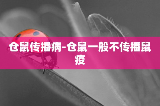 倉鼠傳播病-倉鼠一般不傳播鼠疫