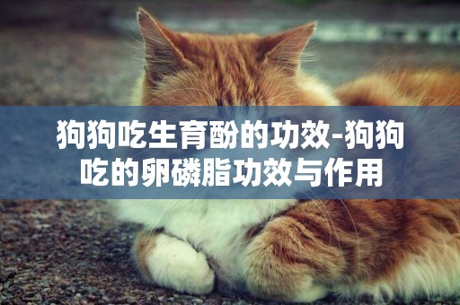 狗狗吃生育酚的功效-狗狗吃的卵磷脂功效與作用