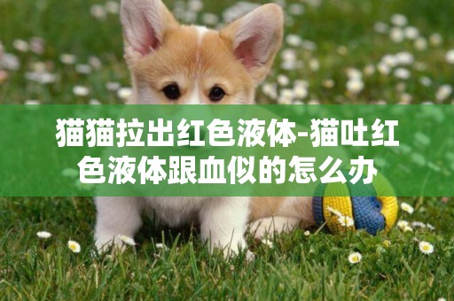 貓貓拉出紅色液體-貓吐紅色液體跟血似的怎么辦