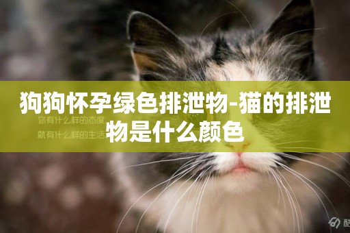 狗狗懷孕綠色排泄物-貓的排泄物是什么顏色