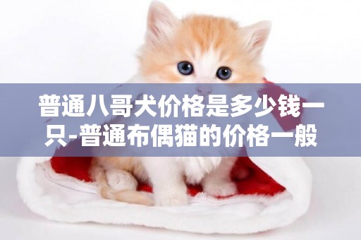 普通八哥犬價格是多少錢一只-普通布偶貓的價格一般是多少錢一只