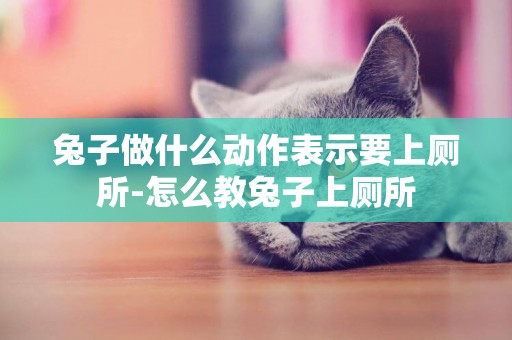兔子做什么動作表示要上廁所-怎么教兔子上廁所