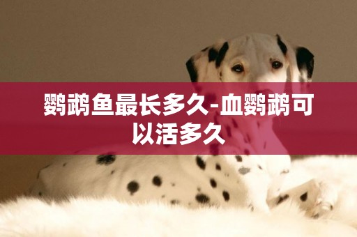 鸚鵡魚最長多久-血鸚鵡可以活多久