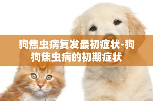 狗焦蟲病復發最初癥狀-狗狗焦蟲病的初期癥狀