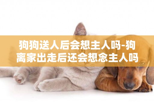 狗狗送人后會想主人嗎-狗離家出走后還會想念主人嗎