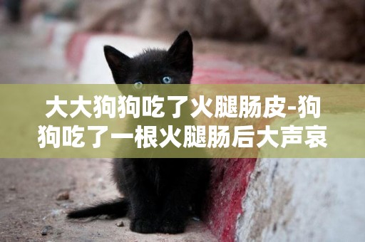 大大狗狗吃了火腿腸皮-狗狗吃了一根火腿腸后大聲哀嚎