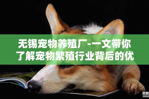 無錫寵物養殖廠-一文帶你了解寵物繁殖行業背后的優生學