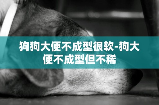 狗狗大便不成型很軟-狗大便不成型但不稀