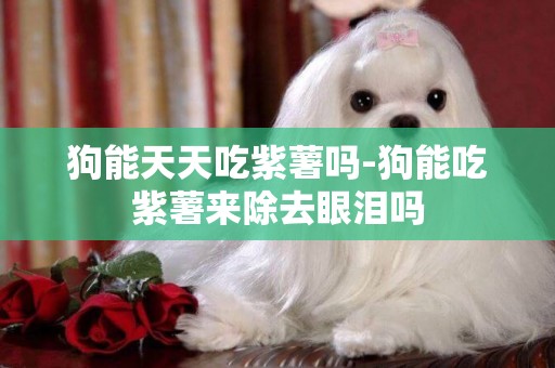 狗能天天吃紫薯嗎-狗能吃紫薯來除去眼淚嗎