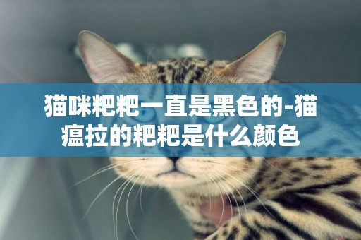 貓咪粑粑一直是黑色的-貓瘟拉的粑粑是什么顏色