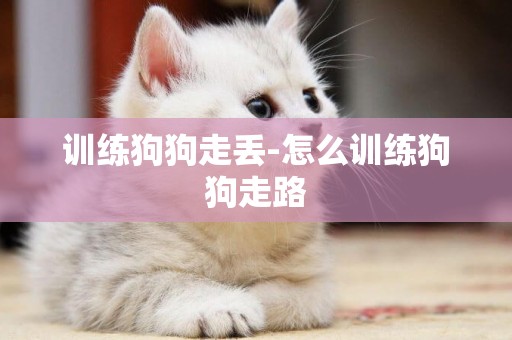 訓練狗狗走丟-怎么訓練狗狗走路