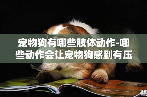 寵物狗有哪些肢體動作-哪些動作會讓寵物狗感到有壓力