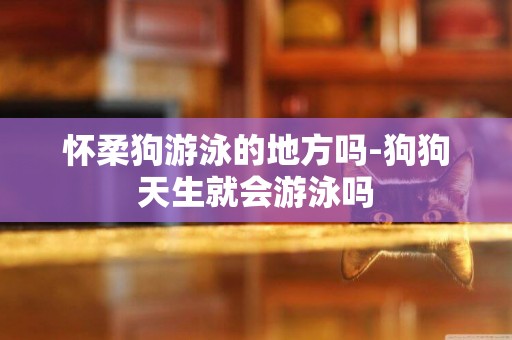懷柔狗游泳的地方嗎-狗狗天生就會游泳嗎