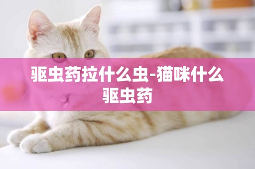 驅蟲藥拉什么蟲-貓咪什么驅蟲藥