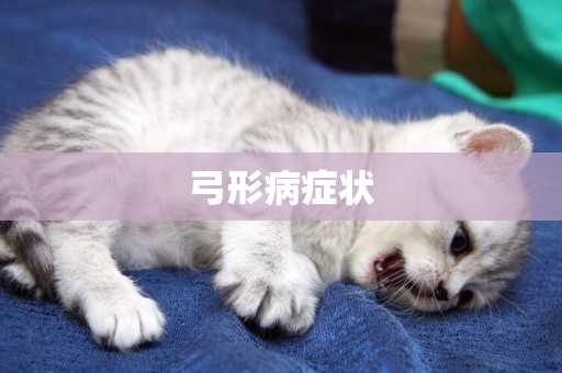 弓形病癥狀