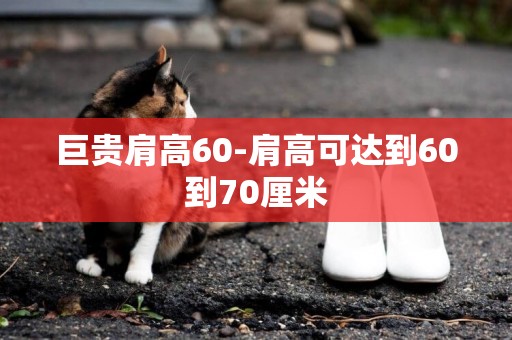 巨貴肩高60-肩高可達到60到70厘米