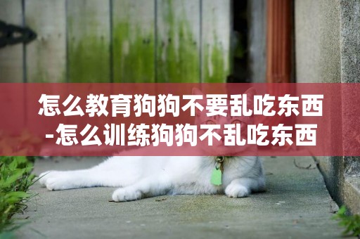 怎么教育狗狗不要亂吃東西-怎么訓練狗狗不亂吃東西