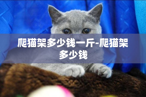 爬貓架多少錢一斤-爬貓架多少錢