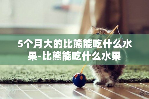 5個月大的比熊能吃什么水果-比熊能吃什么水果