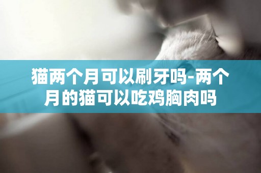 貓兩個月可以刷牙嗎-兩個月的貓可以吃雞胸肉嗎