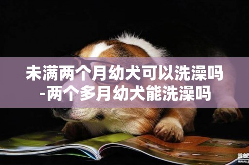 未滿兩個月幼犬可以洗澡嗎-兩個多月幼犬能洗澡嗎