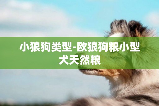小狼狗類型-歐狼狗糧小型犬天然糧