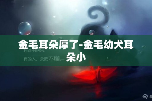 金毛耳朵厚了-金毛幼犬耳朵小