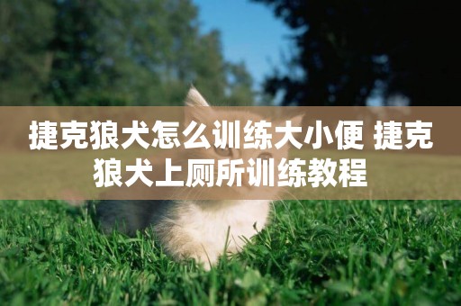 捷克狼犬怎么訓練大小便 捷克狼犬上廁所訓練教程