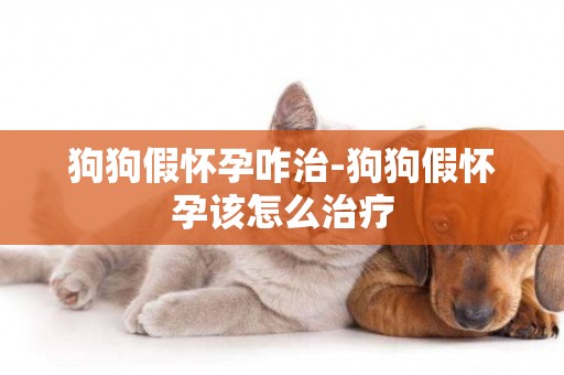 狗狗假懷孕咋治-狗狗假懷孕該怎么治療
