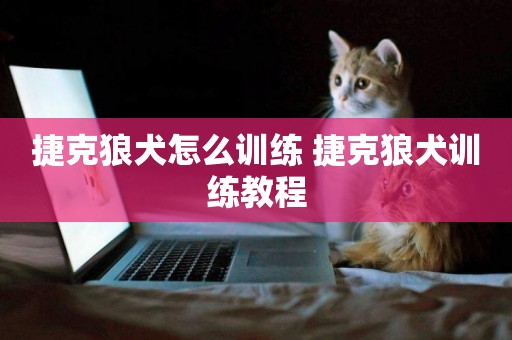 捷克狼犬怎么訓練 捷克狼犬訓練教程