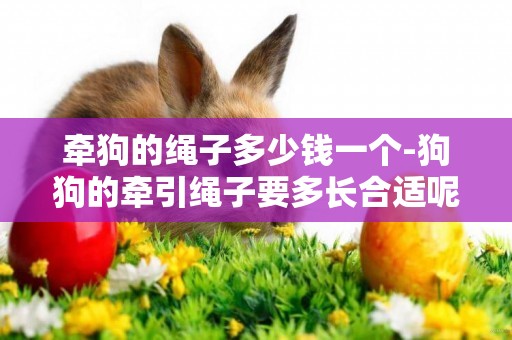 牽狗的繩子多少錢一個-狗狗的牽引繩子要多長合適呢