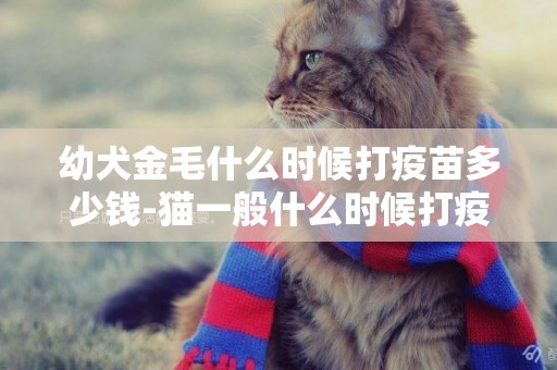 幼犬金毛什么時候打疫苗多少錢-貓一般什么時候打疫苗多少錢
