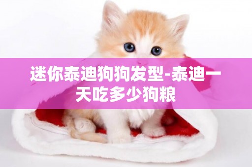 迷你泰迪狗狗發型-泰迪一天吃多少狗糧