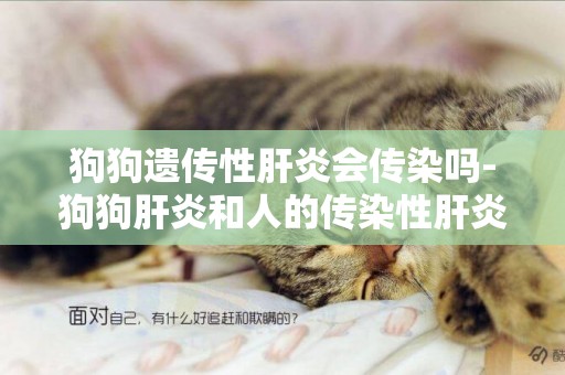 狗狗遺傳性肝炎會傳染嗎-狗狗肝炎和人的傳染性肝炎有關系嗎