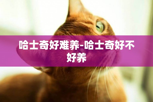哈士奇好難養-哈士奇好不好養