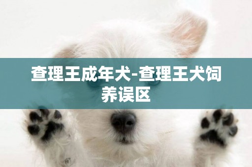 查理王成年犬-查理王犬飼養誤區
