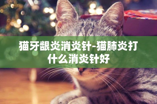 貓牙齦炎消炎針-貓肺炎打什么消炎針好