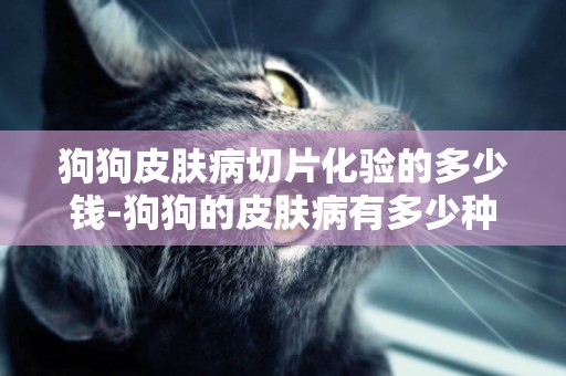 狗狗皮膚病切片化驗的多少錢-狗狗的皮膚病有多少種