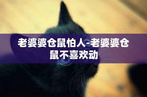 老婆婆倉鼠怕人-老婆婆倉鼠不喜歡動