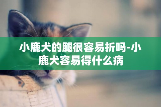小鹿犬的腿很容易折嗎-小鹿犬容易得什么病