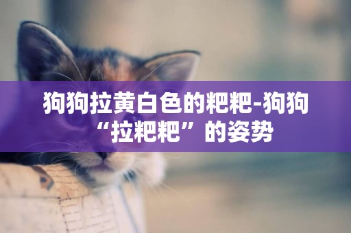 狗狗拉黃白色的粑粑-狗狗“拉粑粑”的姿勢