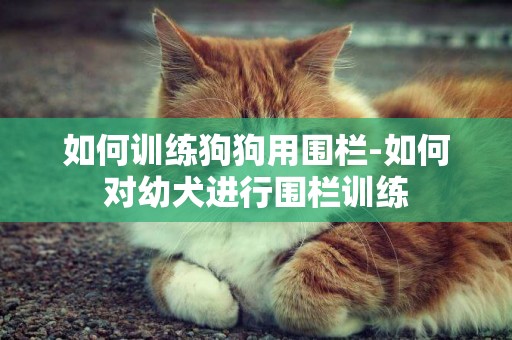 如何訓練狗狗用圍欄-如何對幼犬進行圍欄訓練