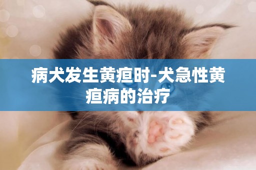 病犬發生黃疸時-犬急性黃疸病的治療