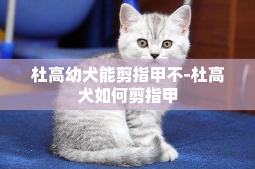 杜高幼犬能剪指甲不-杜高犬如何剪指甲